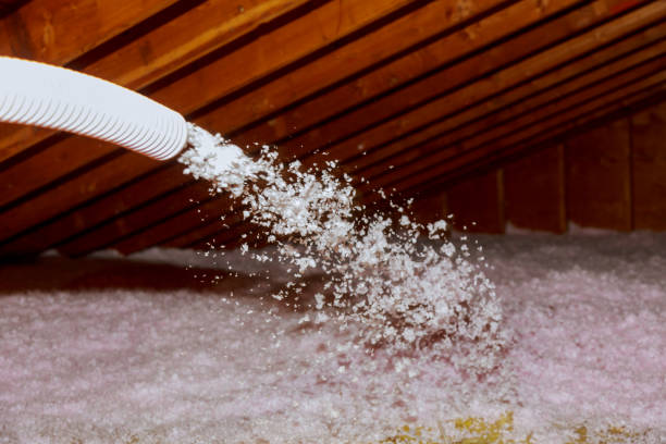 Best Specialty Insulation in Chama, NM
